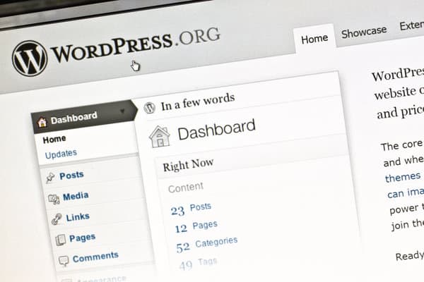 4157880 wordpress