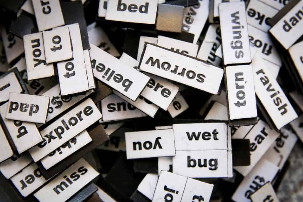 blogging for beginners
